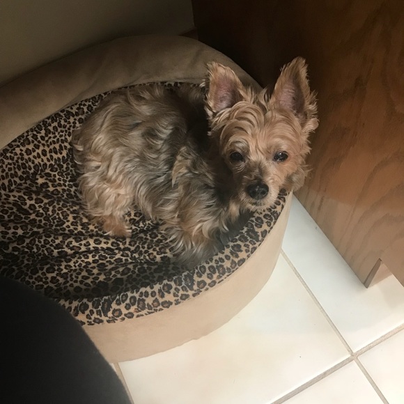 Meet your Posher, Huldie - Picture 1 of 1